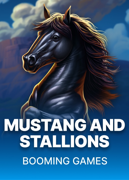 Mustang and Stallions