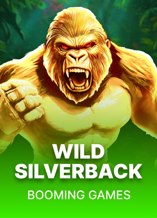 Wild Silverback