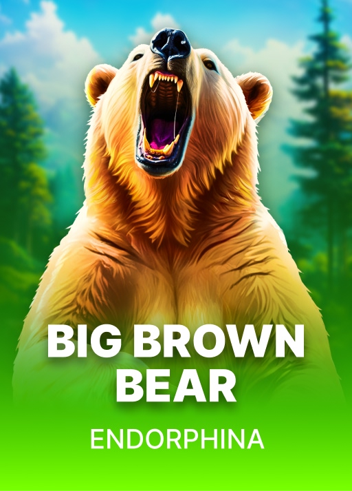 Big Brown Bear